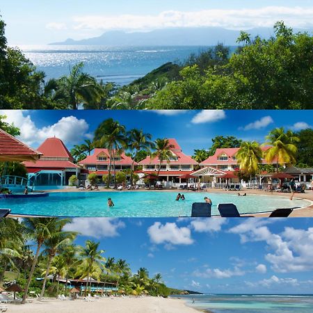 Studio Olia A P&V - Plages, Piscines Et Vue Mer! Сент-Анн Екстер'єр фото