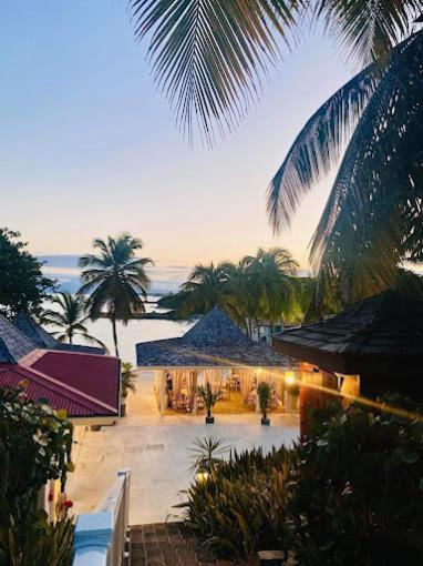 Studio Olia A P&V - Plages, Piscines Et Vue Mer! Сент-Анн Екстер'єр фото