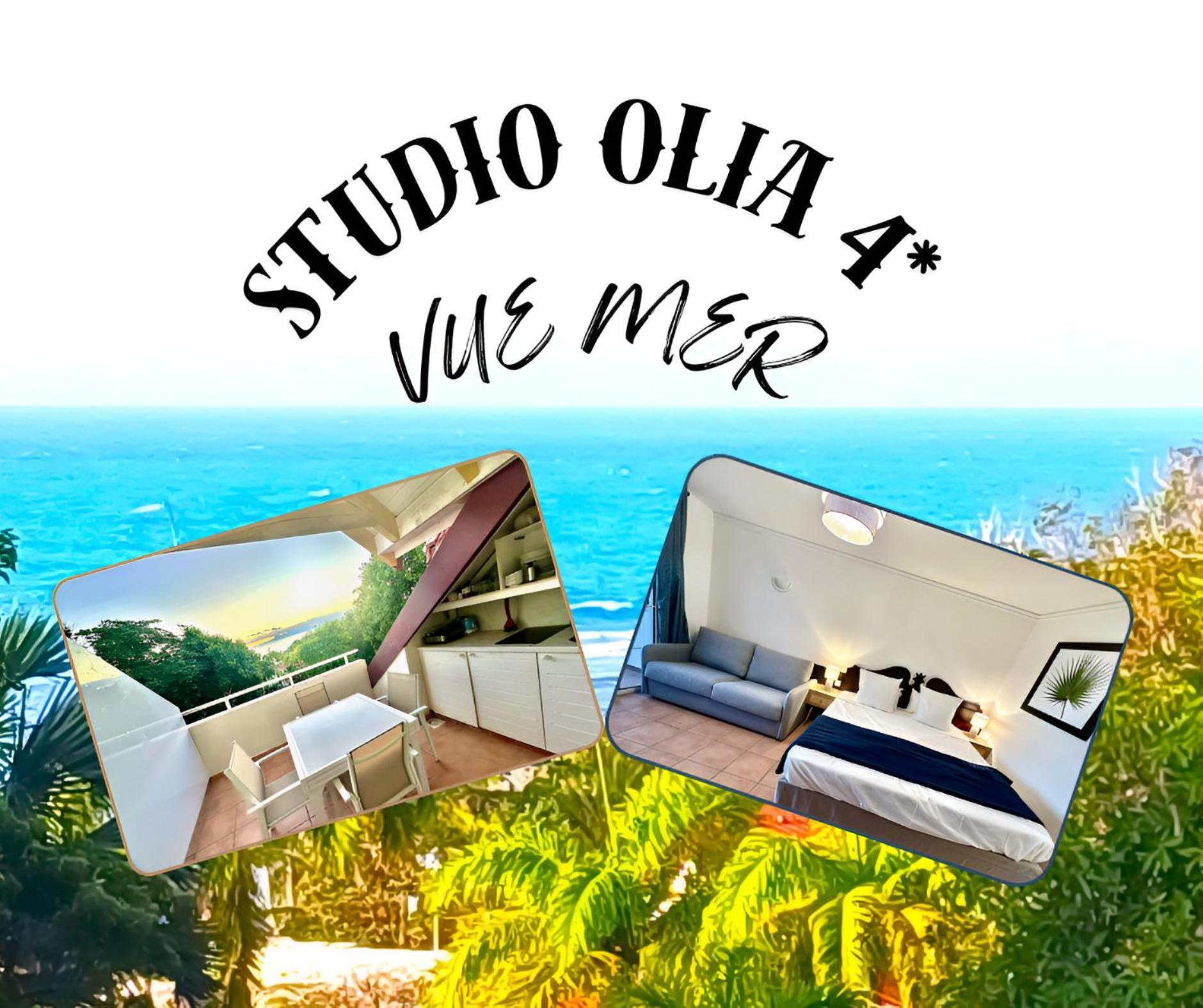 Studio Olia A P&V - Plages, Piscines Et Vue Mer! Сент-Анн Номер фото
