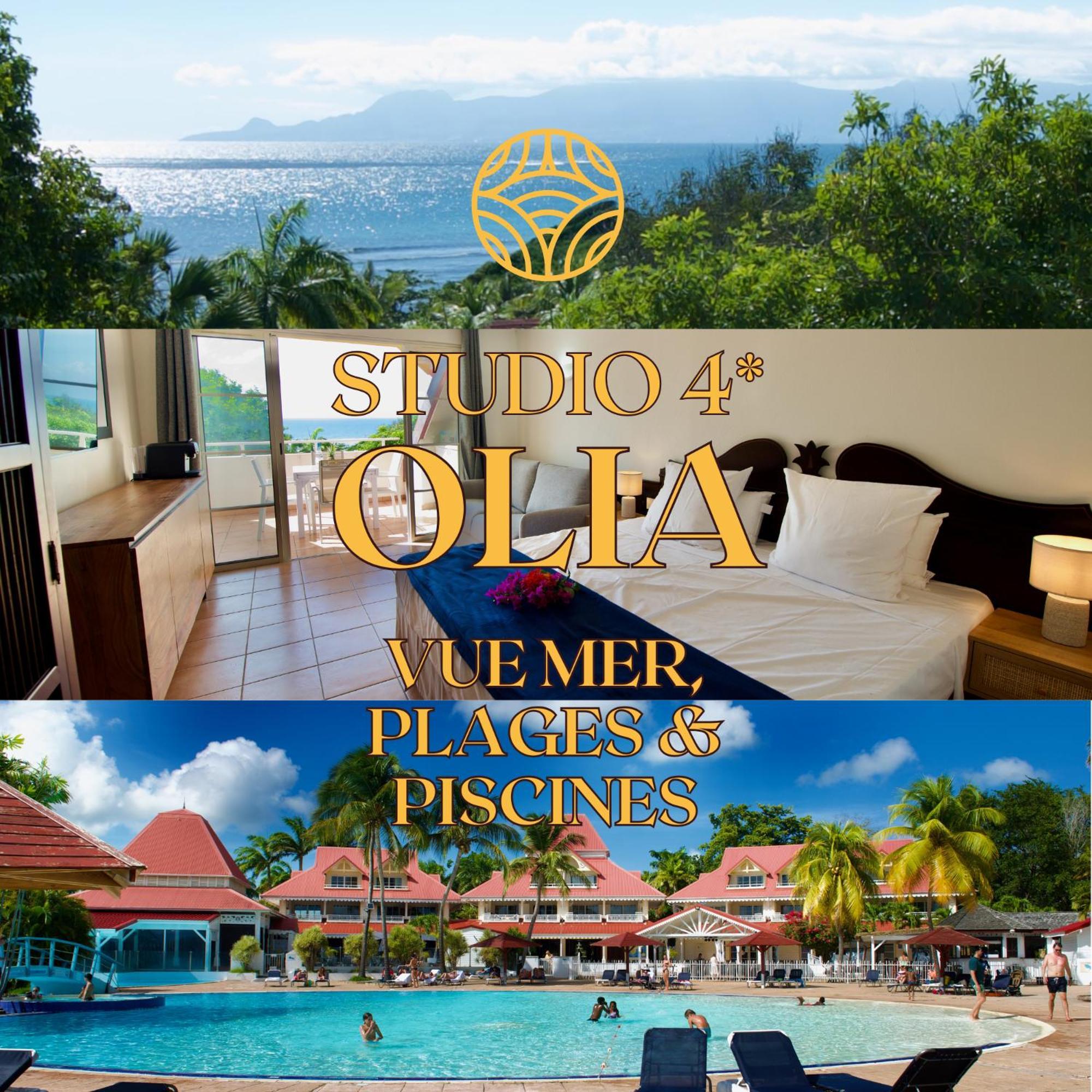 Studio Olia A P&V - Plages, Piscines Et Vue Mer! Сент-Анн Екстер'єр фото